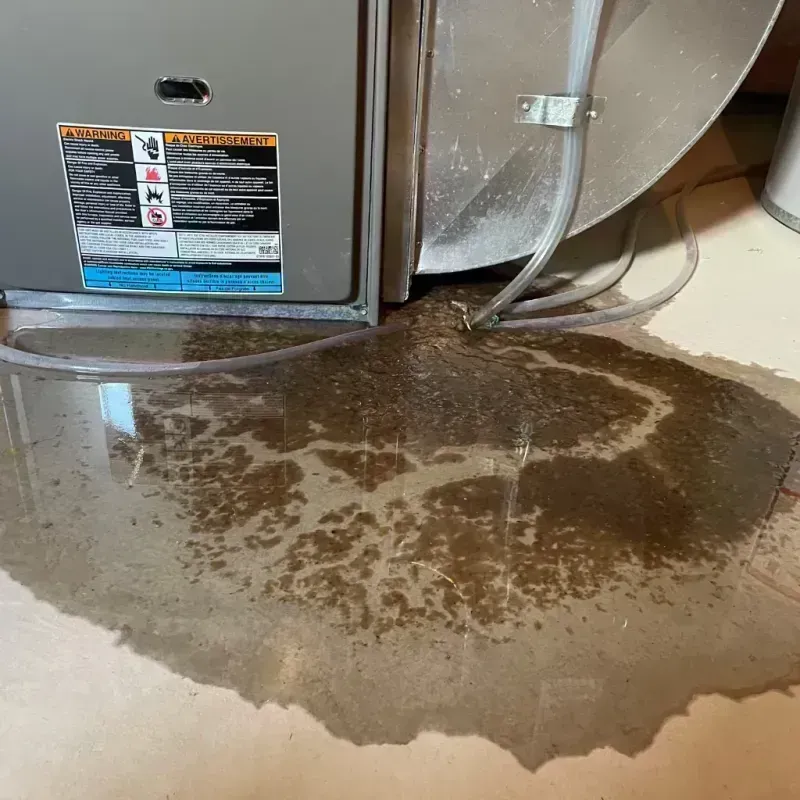 Appliance Leak Cleanup in Vinita Park, MO